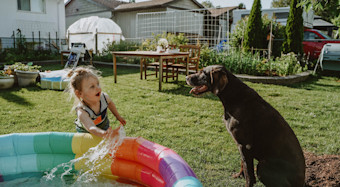 7 Summer Activities You and Your Dog Will Love - In Blog Image