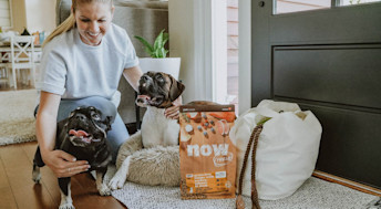 Woman with two dogs at front door