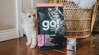 Cat sitting beside bag of Go! Solutions kibble and wet food Tetra Pak
