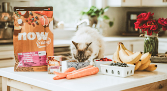 NF - Blog - NF_Cat_Adult_Tetra_Fresh_Fruit_Veggies_Feeding_0621