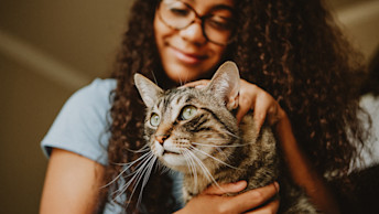 NF - Blog Header - Is Your Cat Bored? Here’s How to Entertain Your Cat
