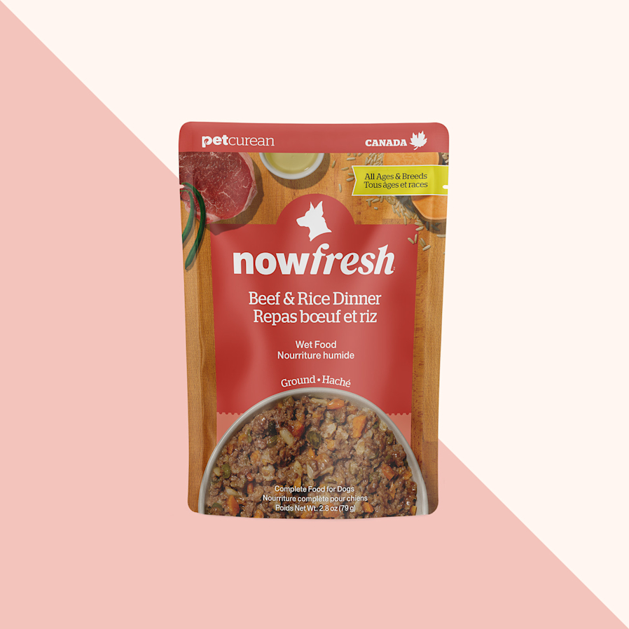 Nourriture humide pour chiens Now Fresh, repas au bœuf et au riz