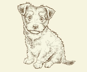 Small breed puppy illustration