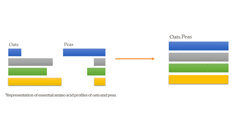 Figure 1. Complementary proteins from oats and peas when combined provide all essential amino acids