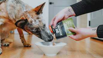 Dog licking Go! Booster food topper being poured on top of kibble