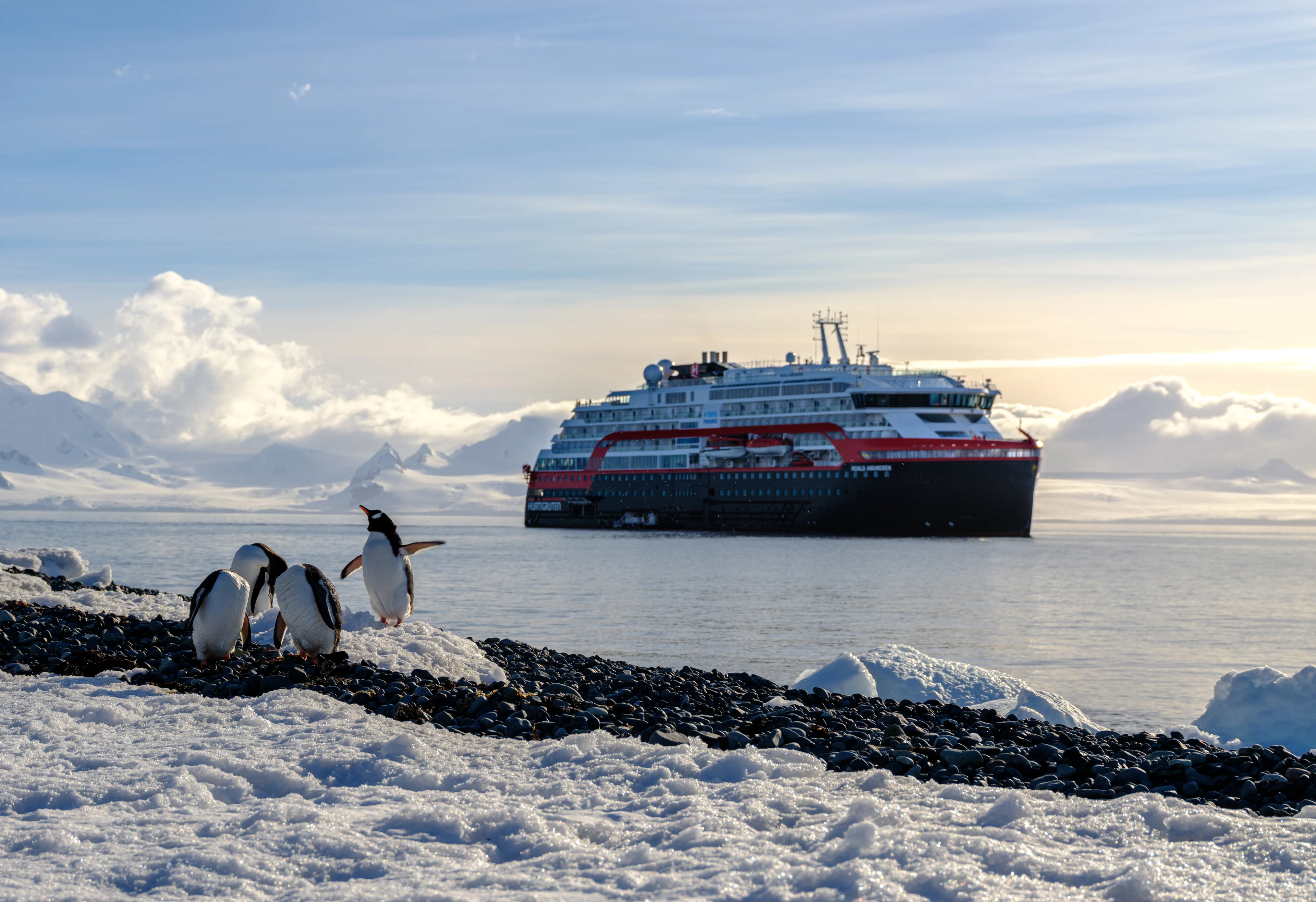 Penguins and MS Roald Amundsen in Antarctica. Credit: Dan Avila
