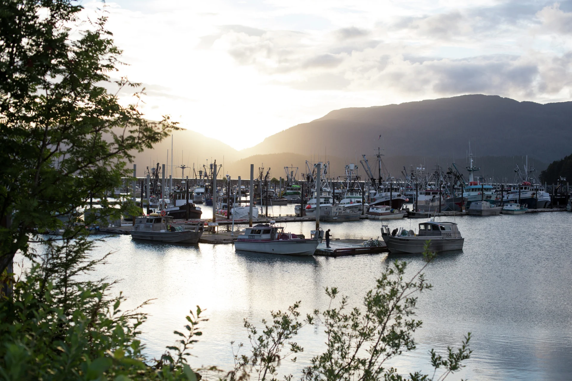  The harbour of Cordova, Alaska. Credit: Jonathan Tramontana / Hurtigruten