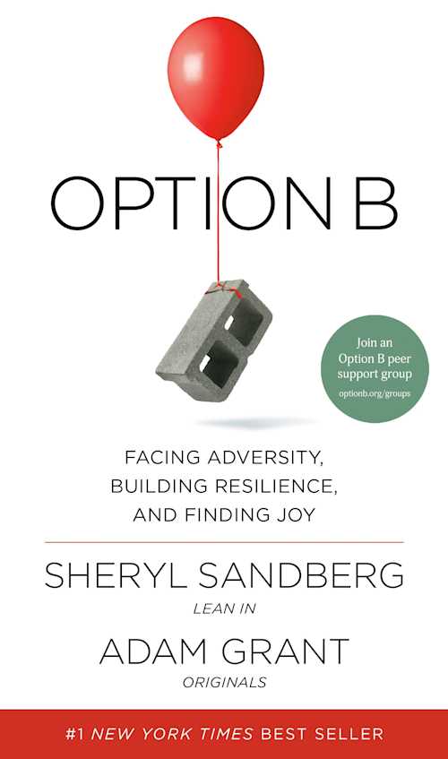 Buy Option B on Amazon
