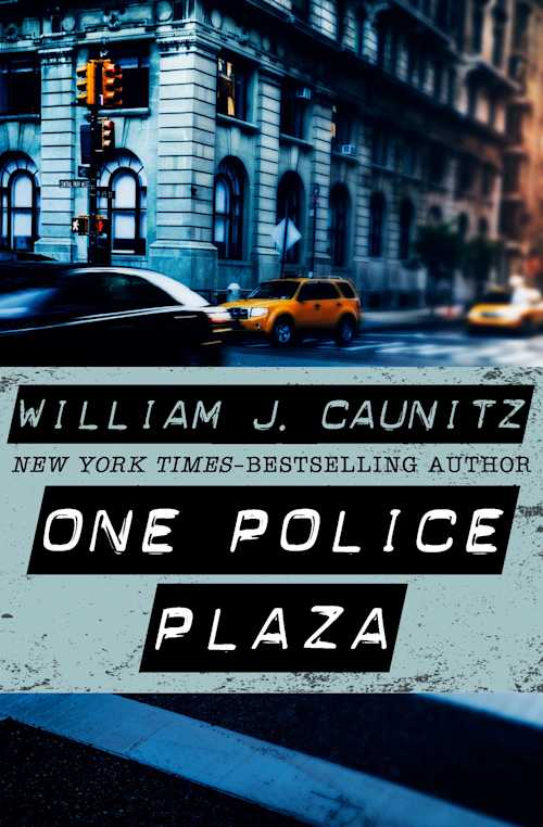 Buy One Police Plaza on Amazon
