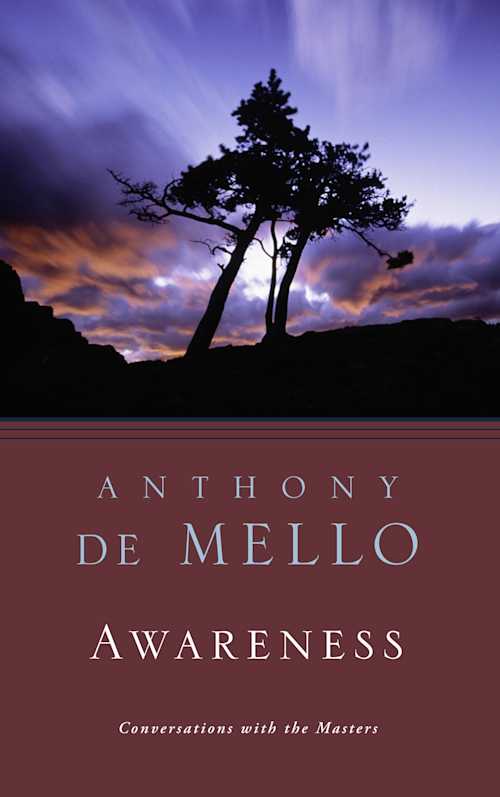 Buy Awareness on Amazon