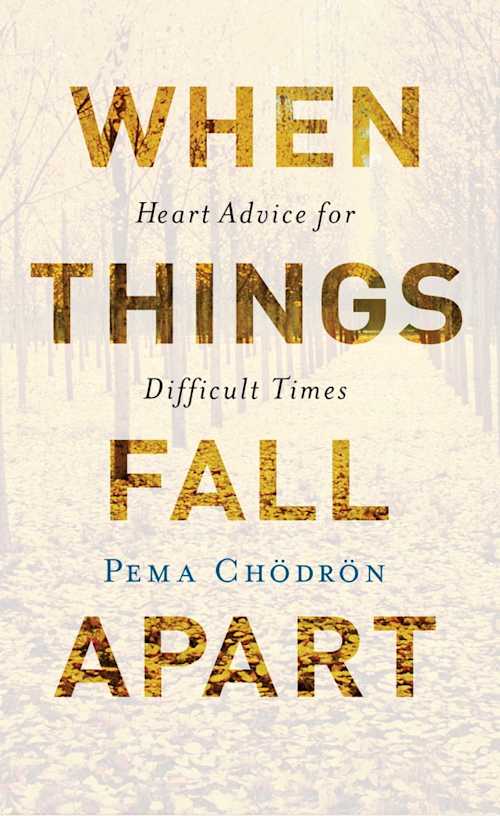 Buy When Things Fall Apart on Amazon