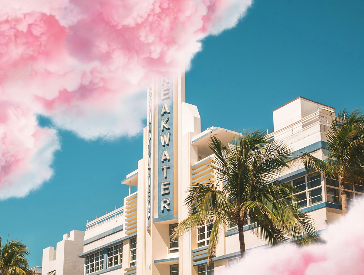 The Florida Flock