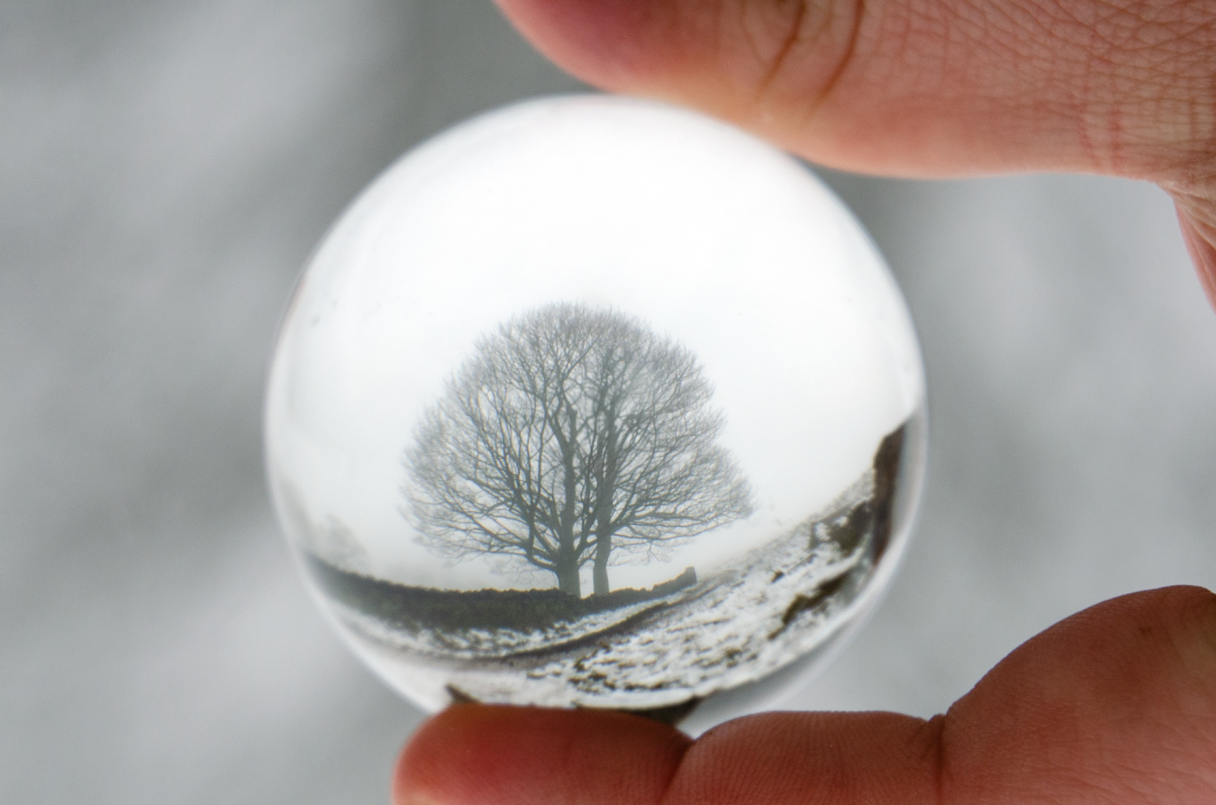 Ogden Reservoir - Tree - Glass Ball 