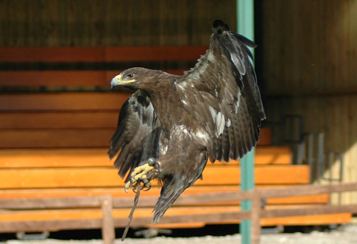 Landing