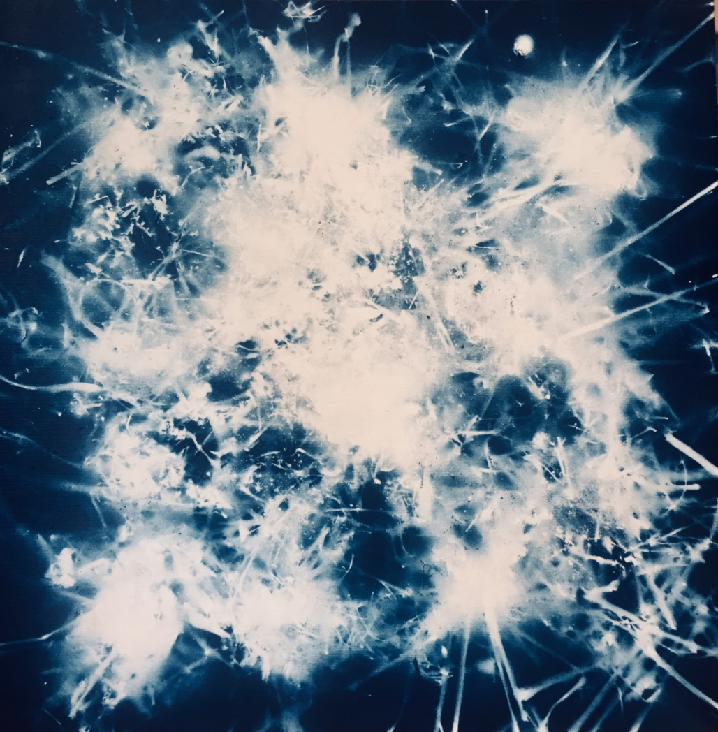 FLAK 5 -Maria Marshall