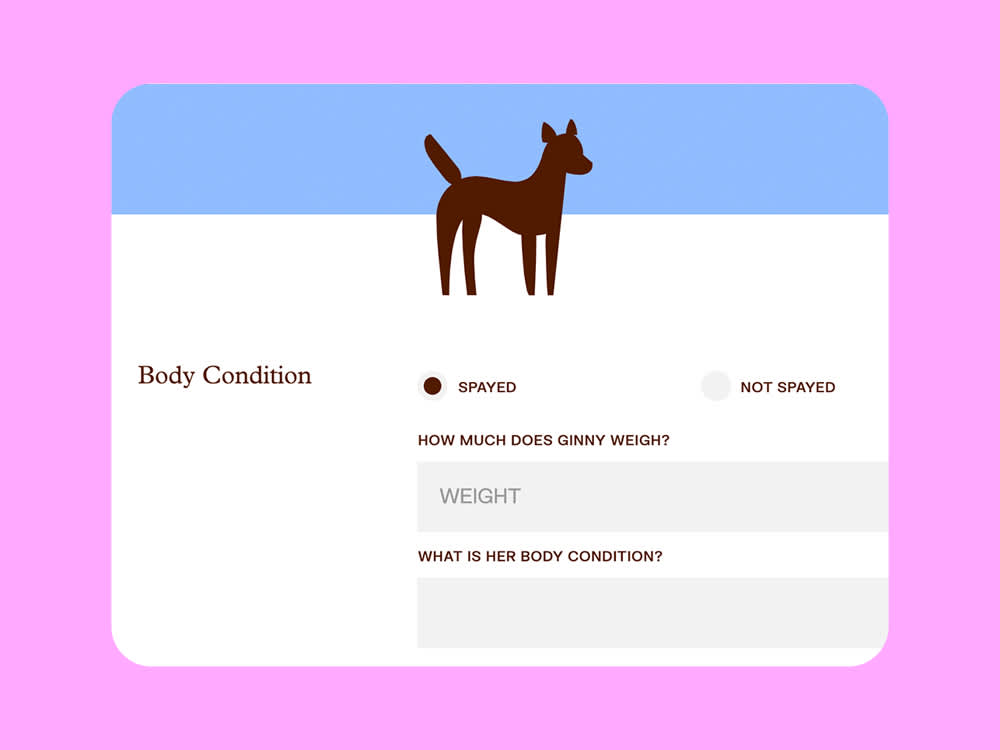 Screenshot of the nutrition calculator tool.