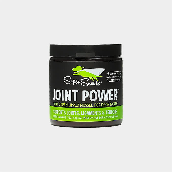 Super Snouts Joint Power Green Lipped Mussel