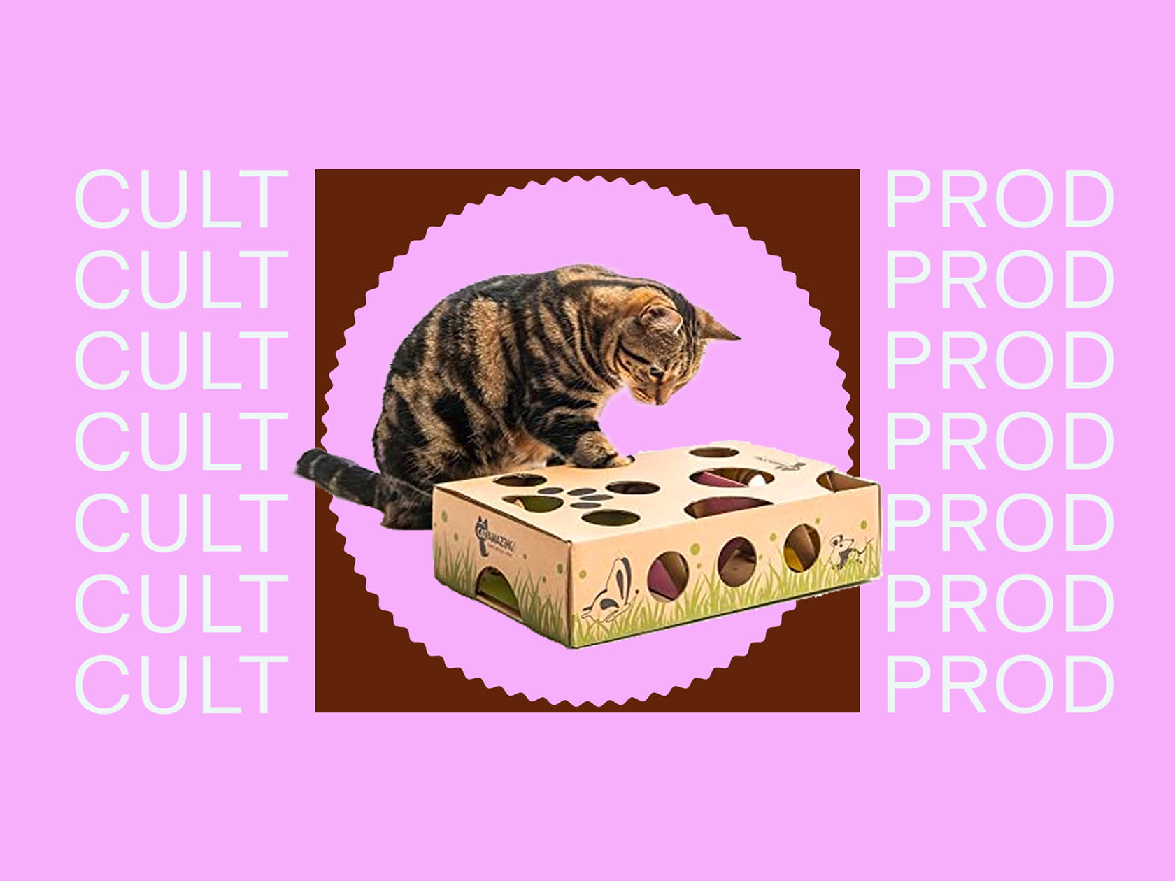 cat playing with puzzle toy