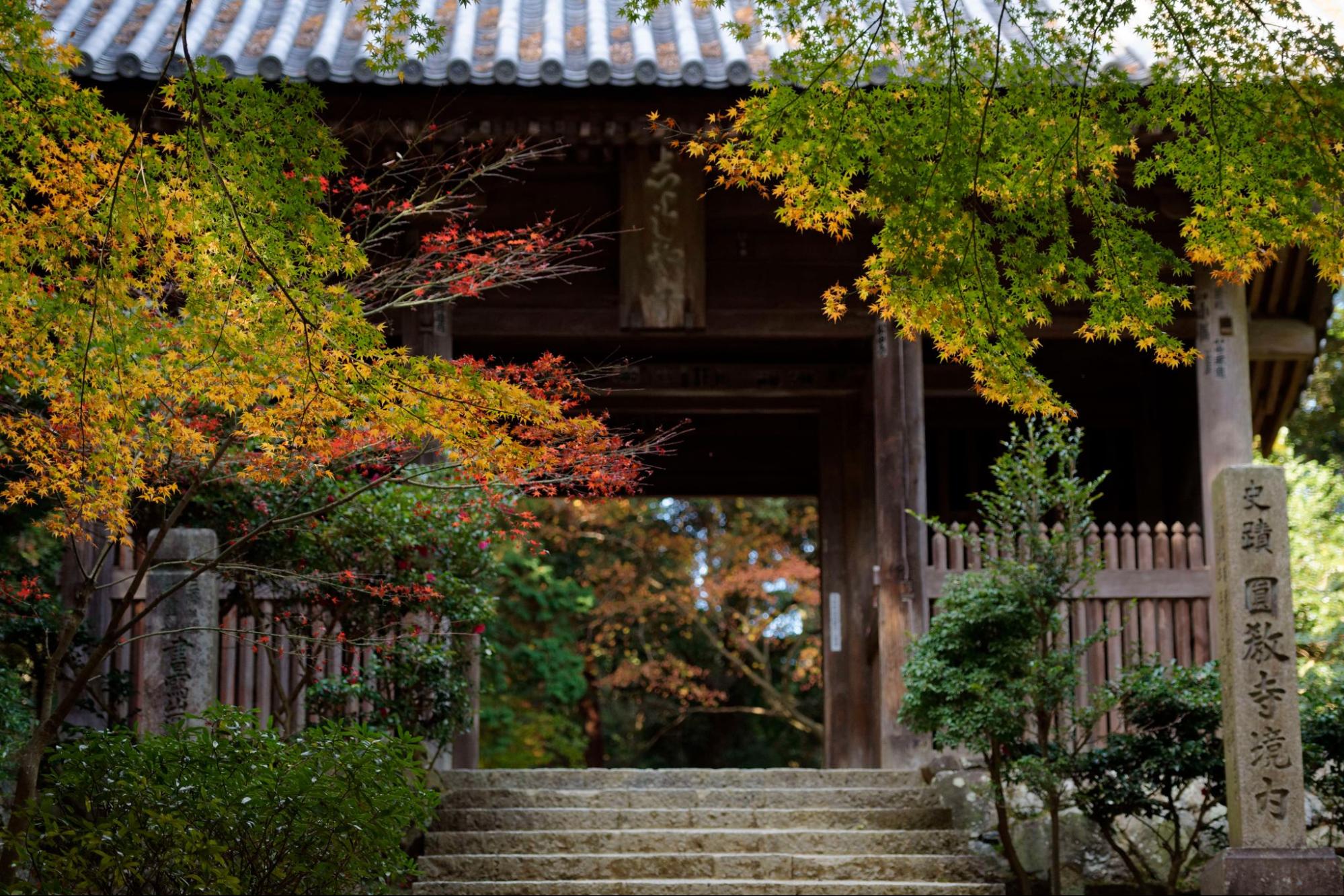 himeji_syosyazanengyouji