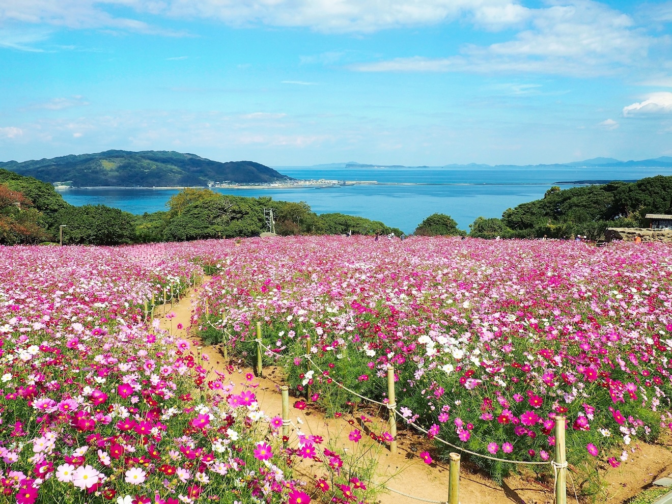 fukuoka_nokonoshima