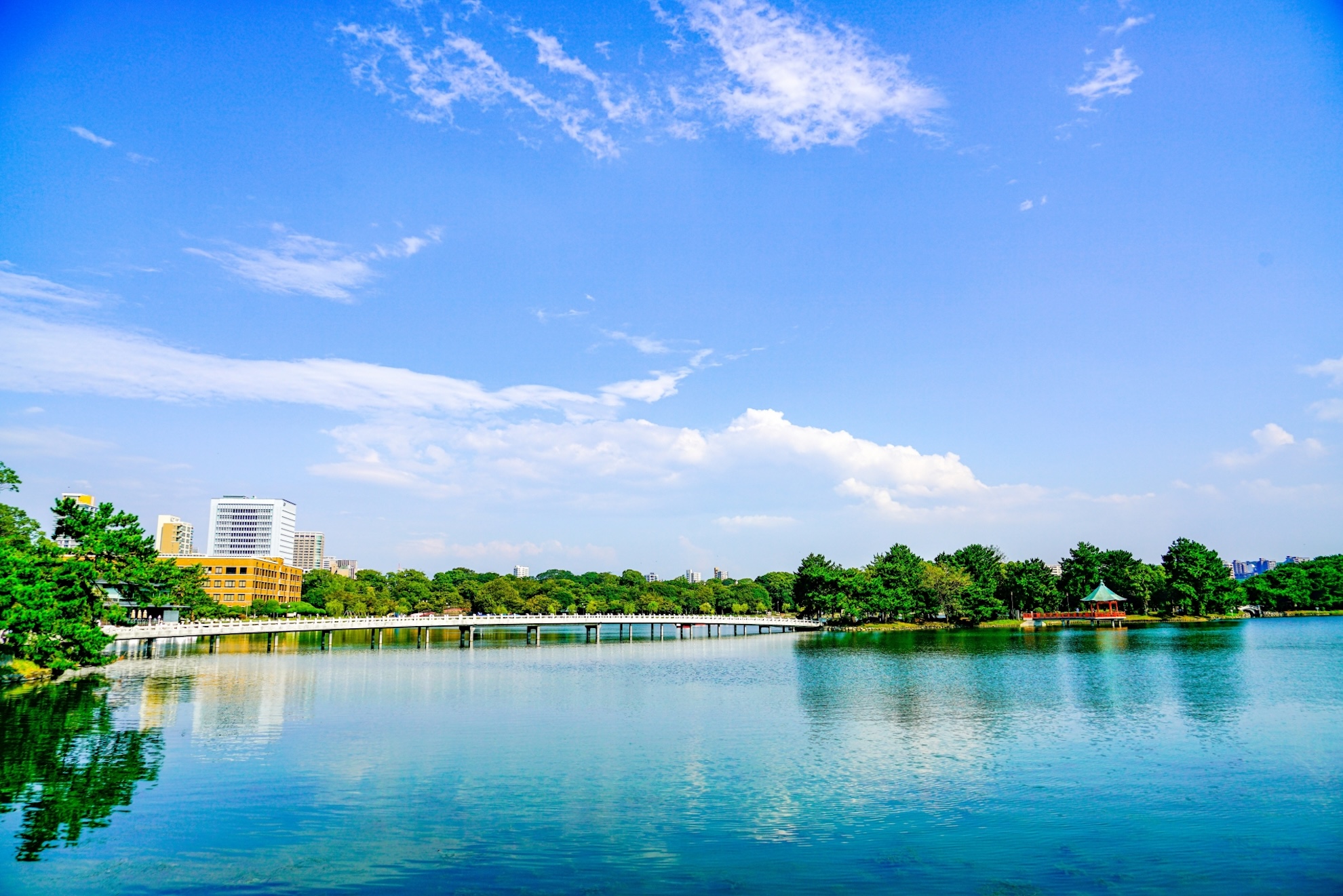 fukuoka_ohorikouen