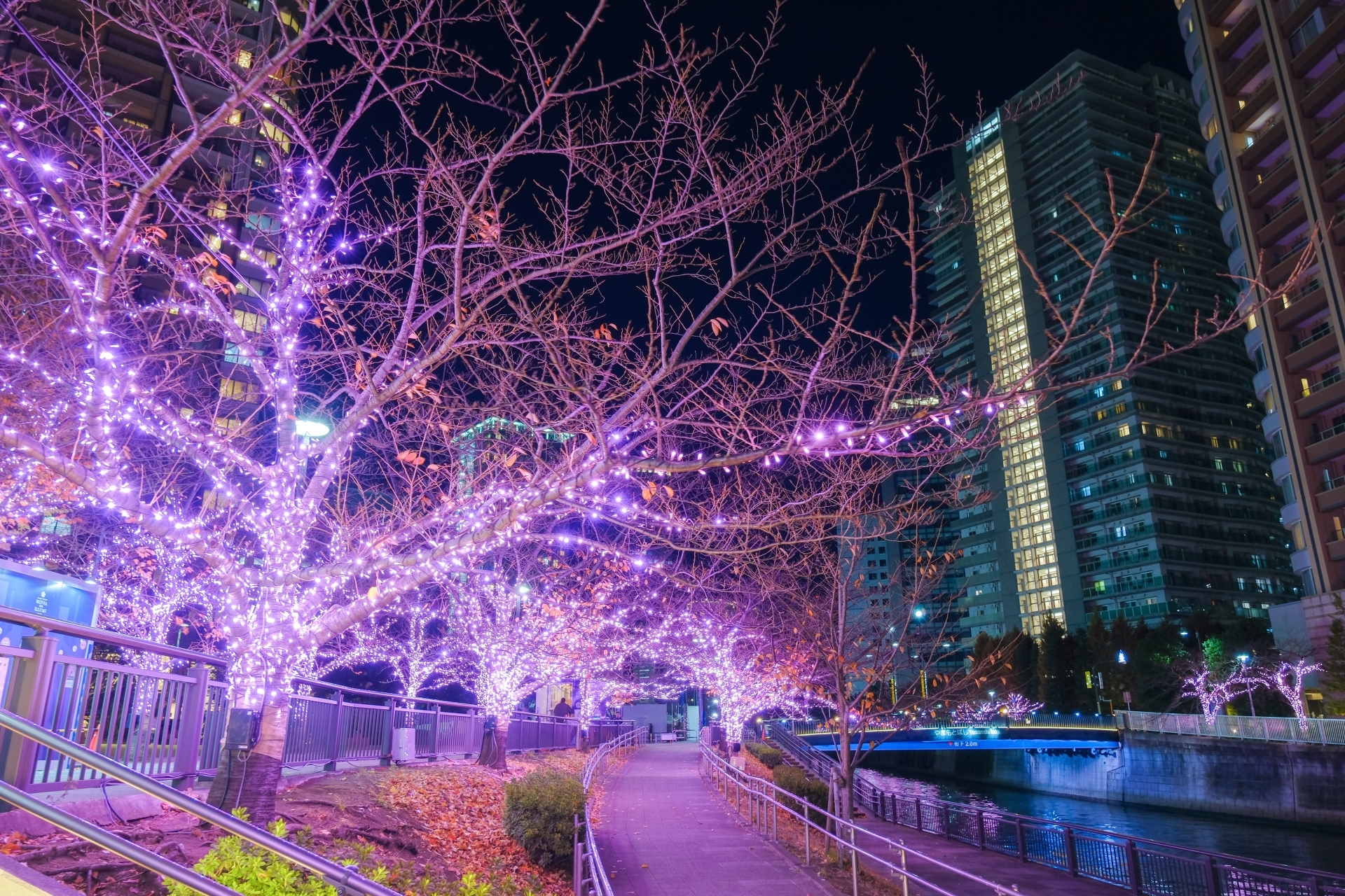 品川 五反田ふれあい水辺広場