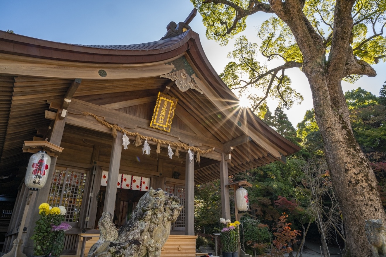 fukuoka_shikaumi-jinja