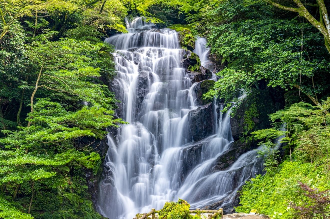 fukuoka_shiraitonotaki