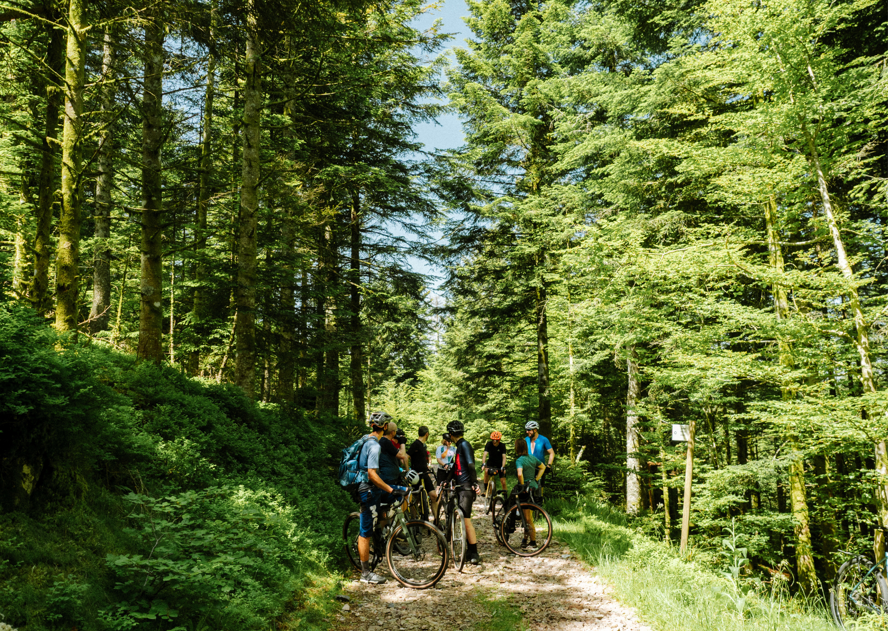 Vosges - Adventurer 6