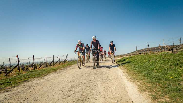 Fiche produit Champagne X Café du Cycliste (villages)