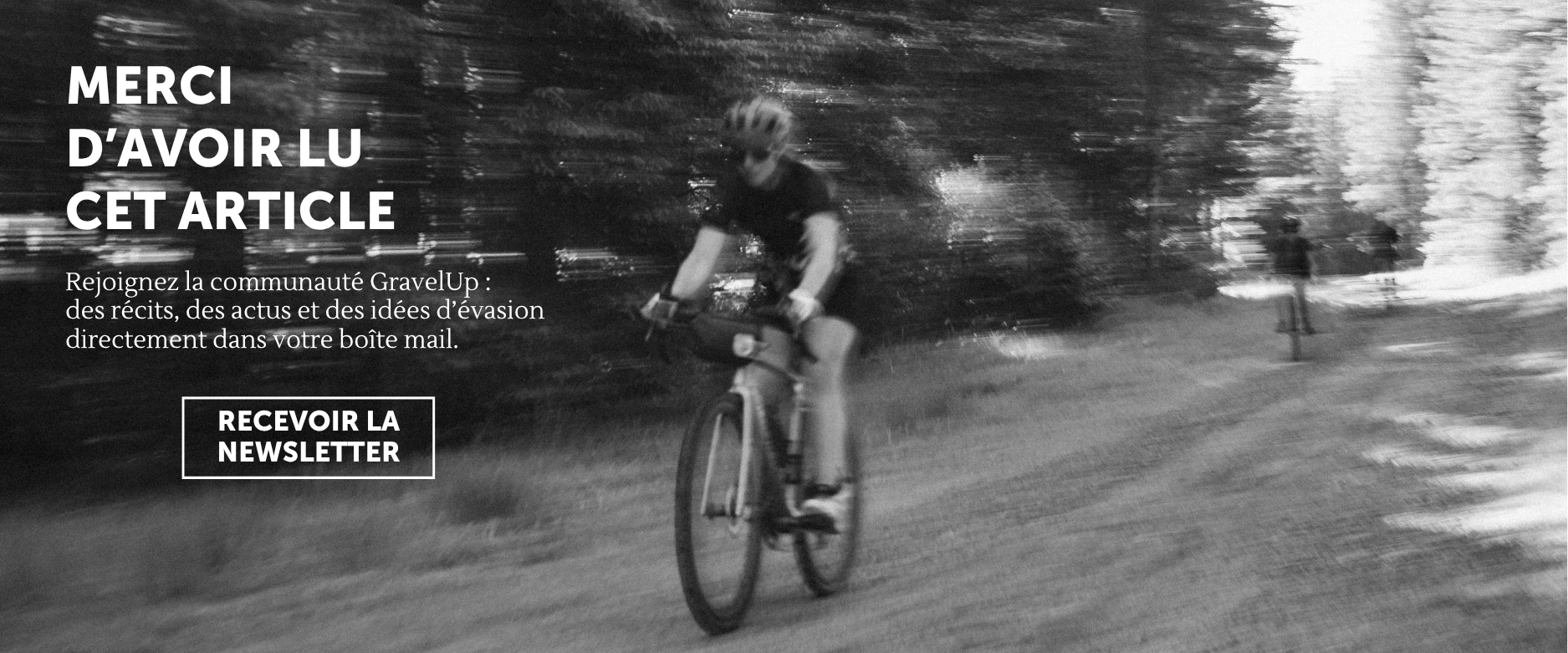 Bannière newsletter fin article desktop