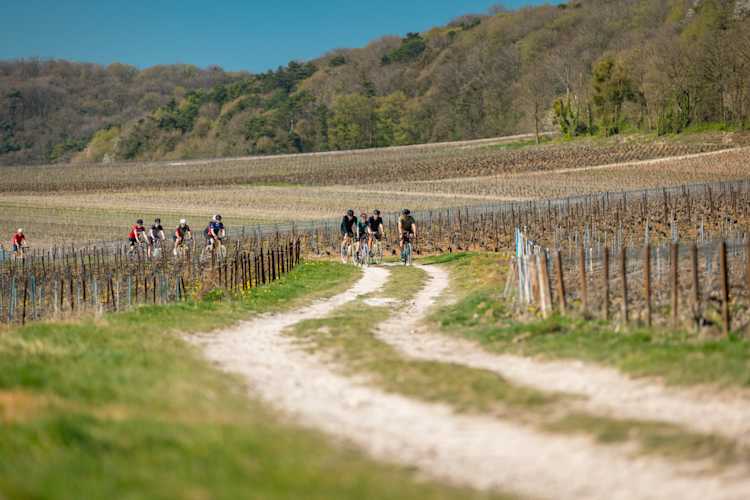 Cyclists riding through rolling vineyards