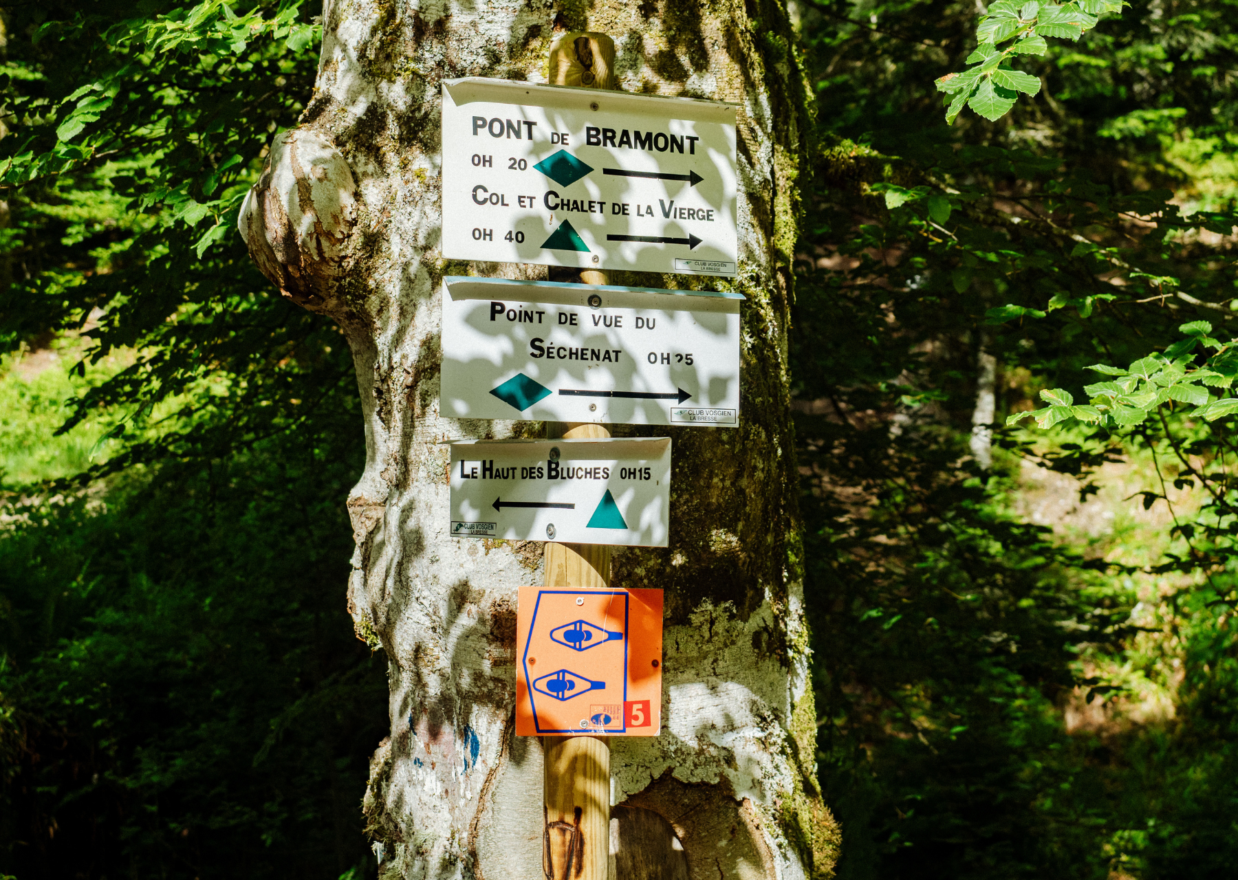 Vosges - Adventurer 17