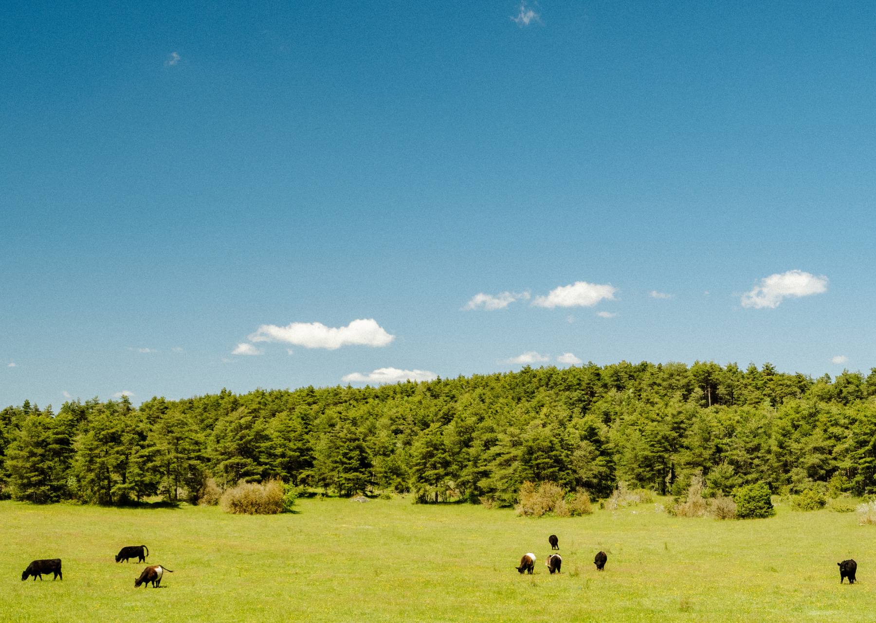 Grands Causses - Adventurer17