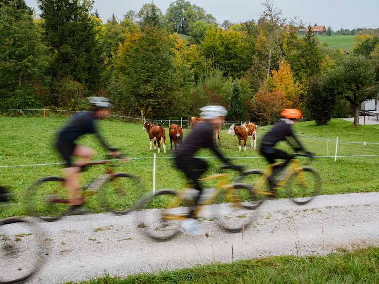 Jour 4_Adventurer_Alpes Suisses