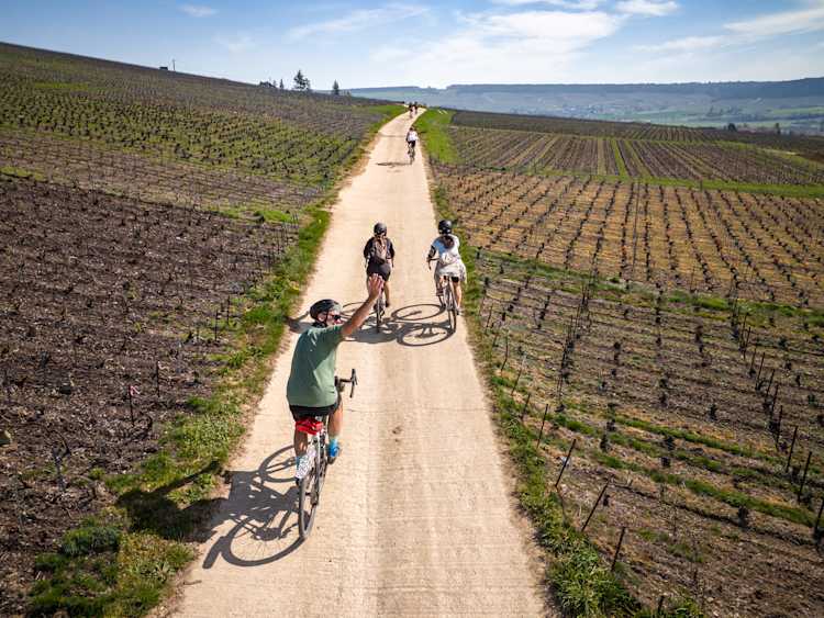 Fiche produit Champagne X Café du Cycliste (chemins blancs)