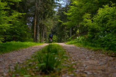 EXPLORER VOSGESDSCF3870