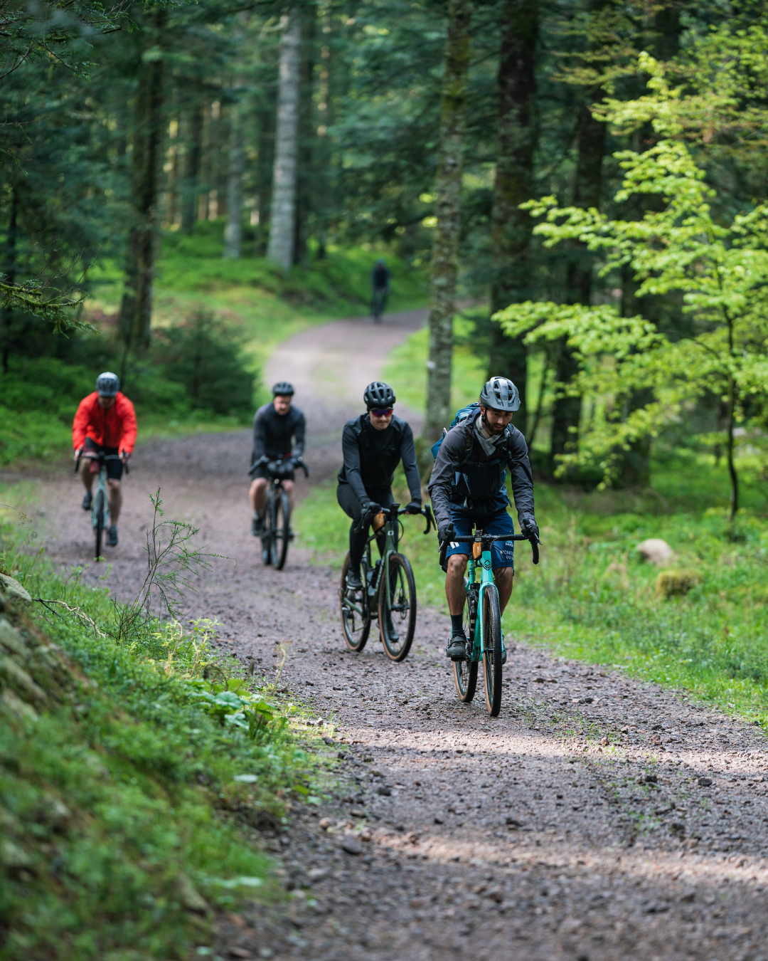 Gravel dans les Vosges