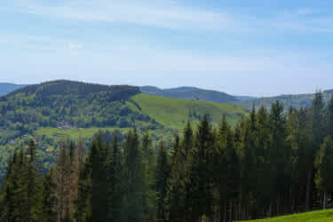 EXPLORER VOSGESDSCF4169