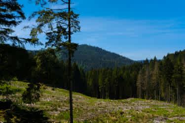 EXPLORER VOSGESDSCF4120