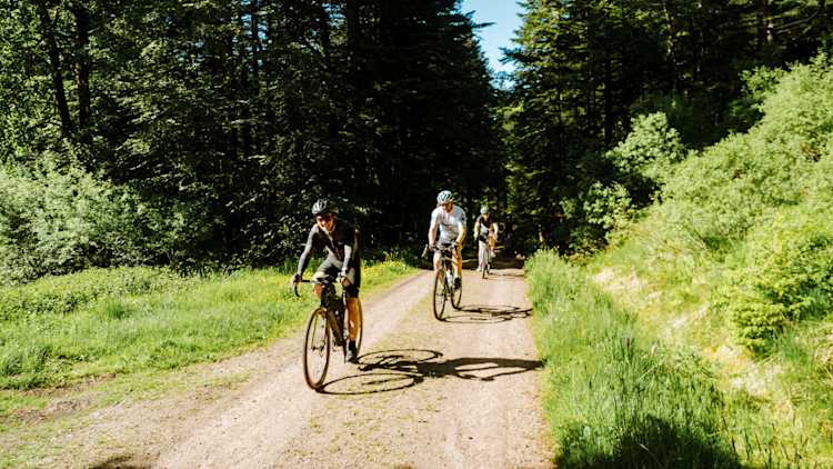 Vosges - adventurer
