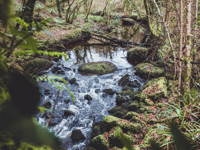 Bretagne - header