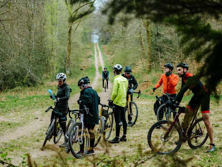 Pause guidée en forêt