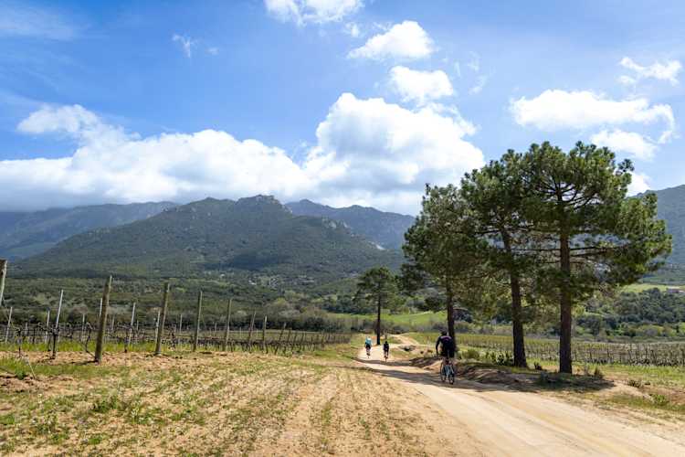 ADVENTURER CORSEGravelCorse-9427