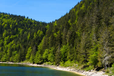 EXPLORER VOSGESDSCF4065