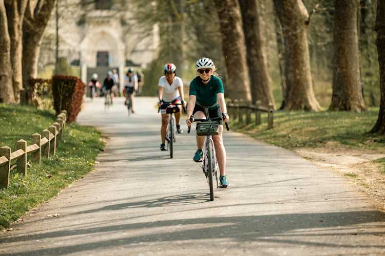 Avis client GDI - Louise