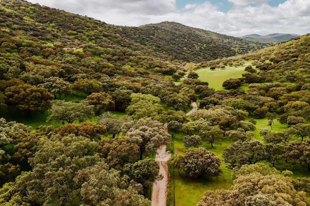 Roadbook Andalousie Adventurer GravelUp - Day 2