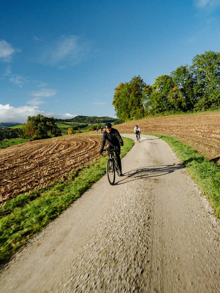 Avis Suisse - Christophe Lami