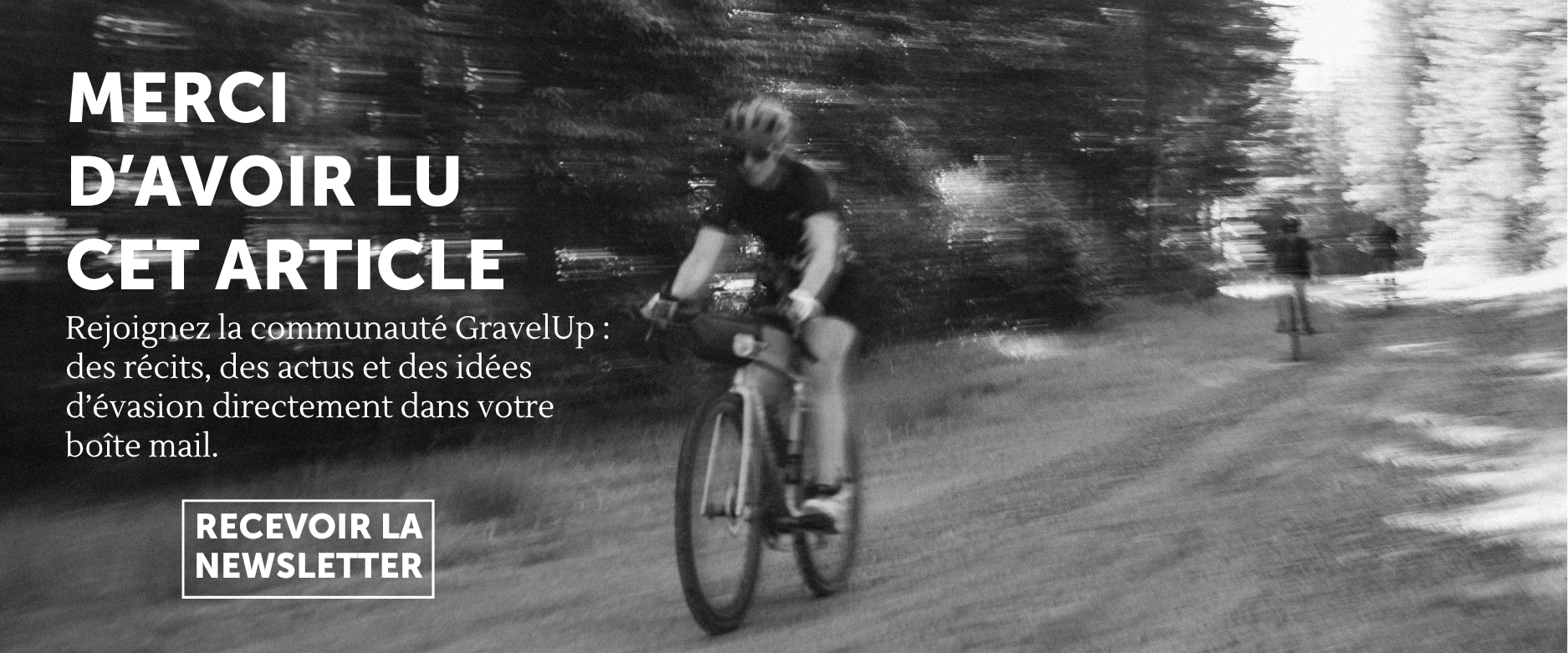 Bannière newsletter fin article mobile