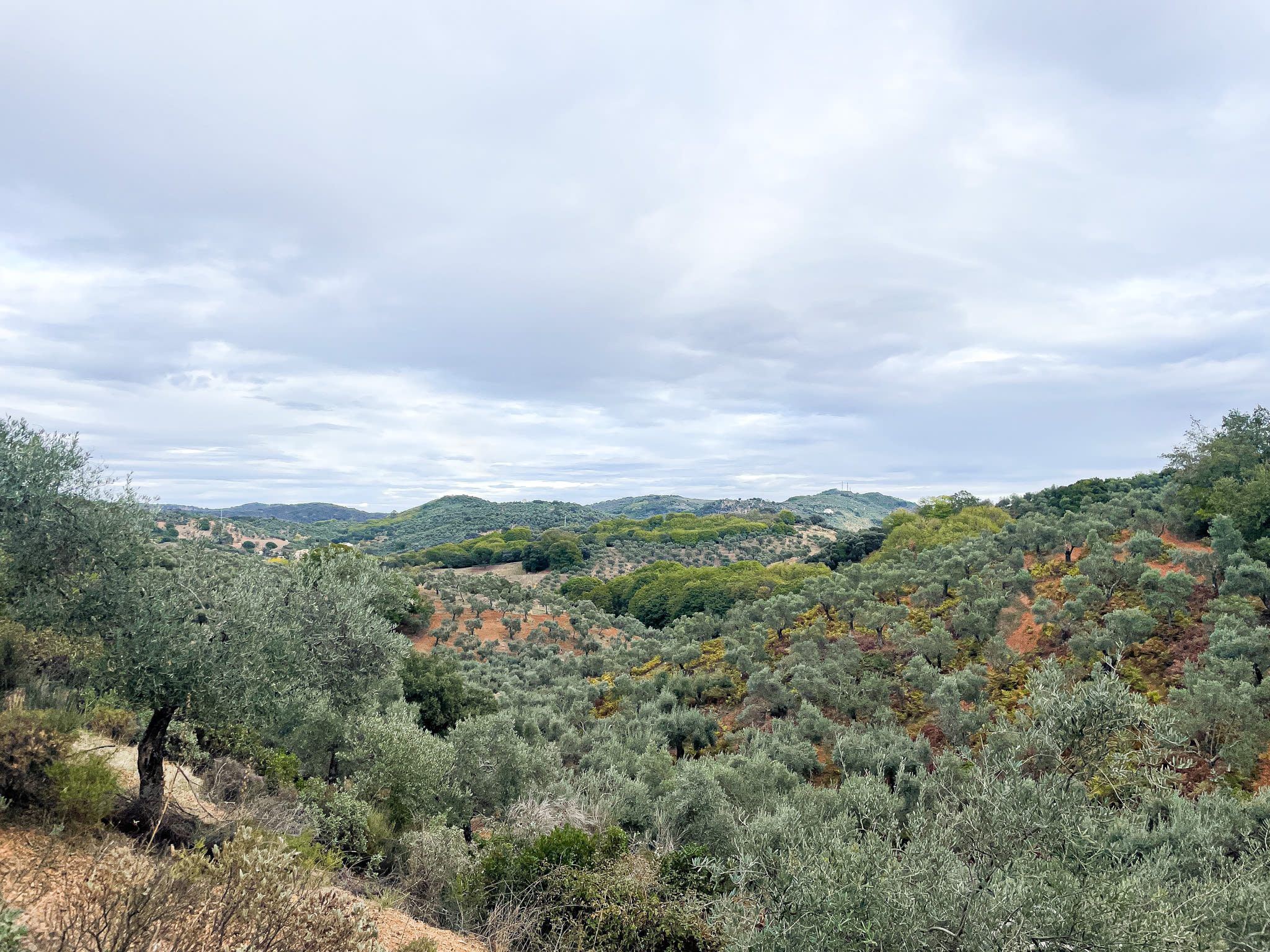 Header_Andalousie